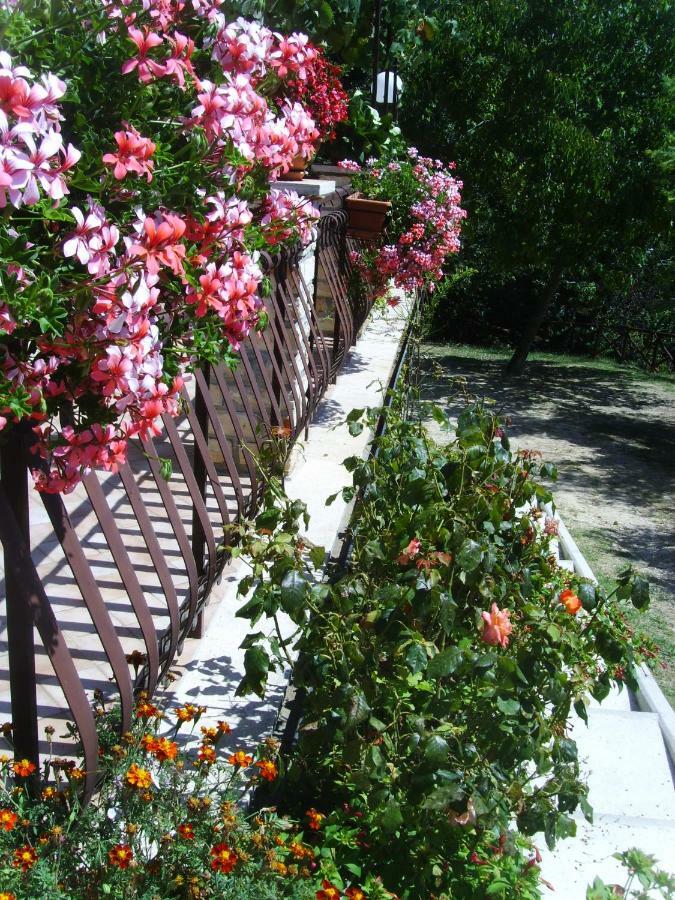 Bed and Breakfast Casa Lieta Subiaco Exterior foto